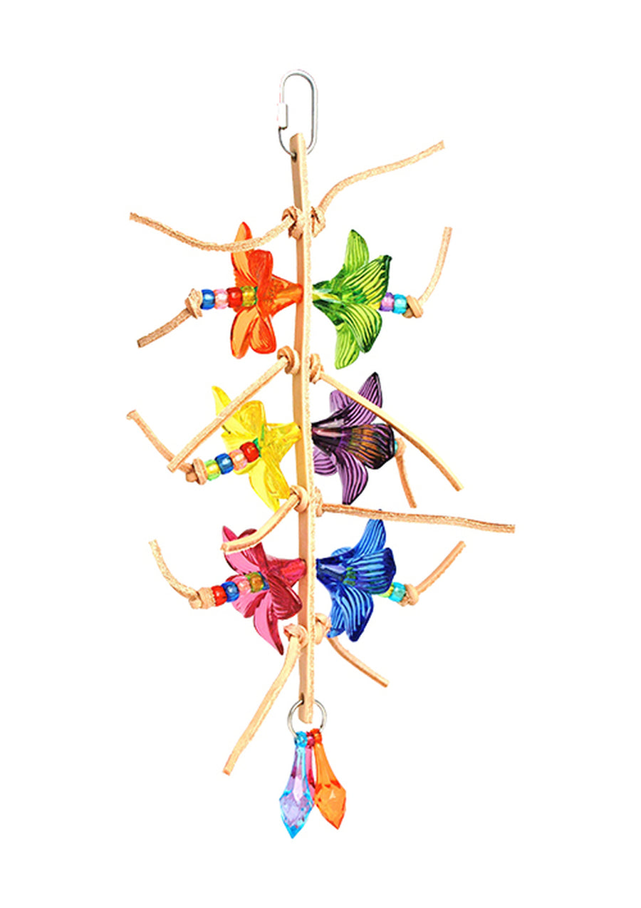 Scooter Z's Tropical Orchid