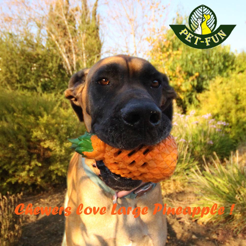Pineapple Enrichment Toy for Chewers