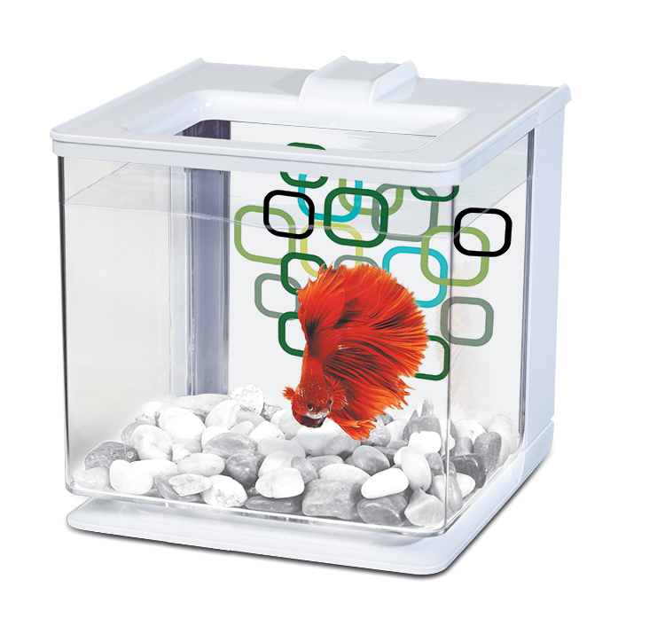 Marina - EZ Care Betta Kit 2.5L