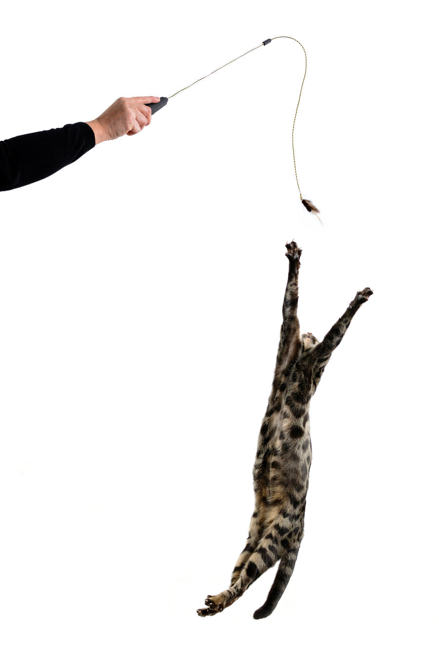 Rompicatz Adjustable String Wand - Bug