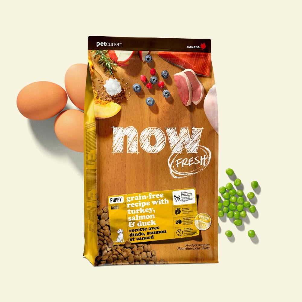 Now Fresh Turkey, Salmon and Duck for Puppies