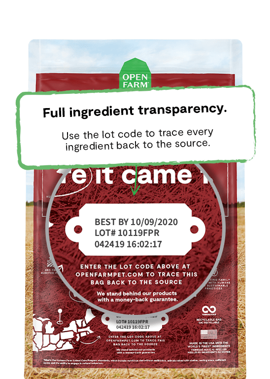 Open Farm Grass-Fed Beef & Ancient Grains Dry Dog Food