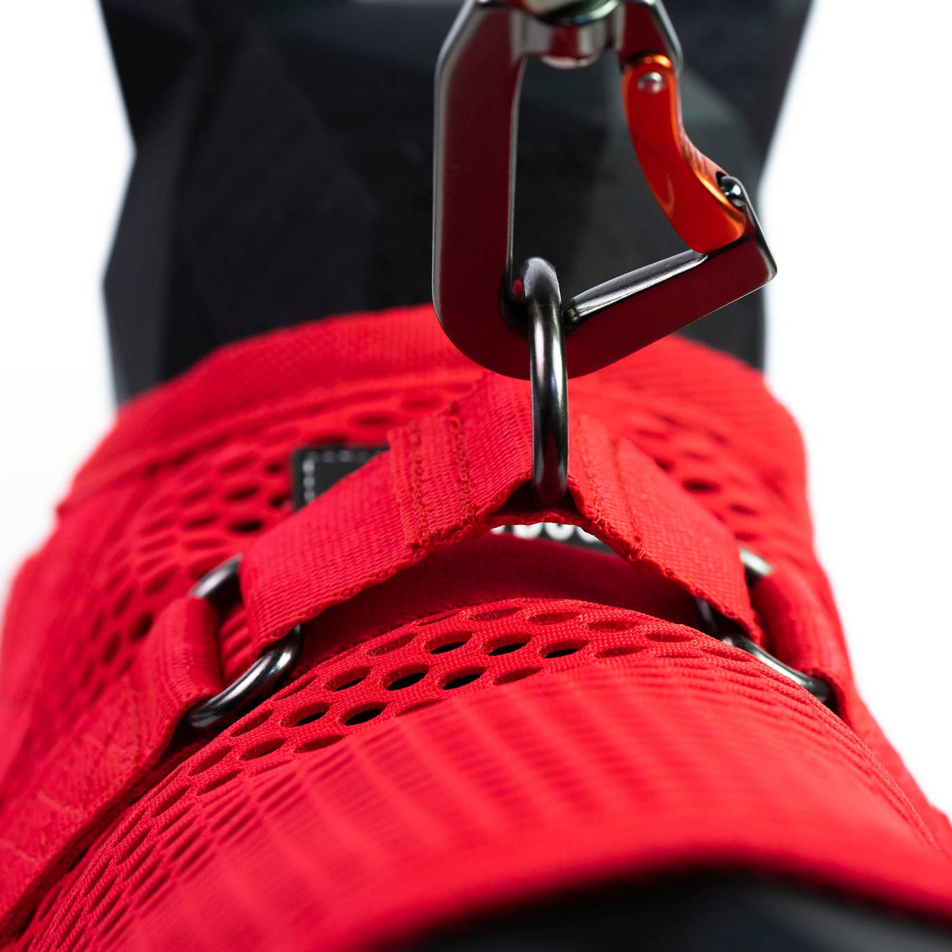 Sleepypod Martingale Cat Harness