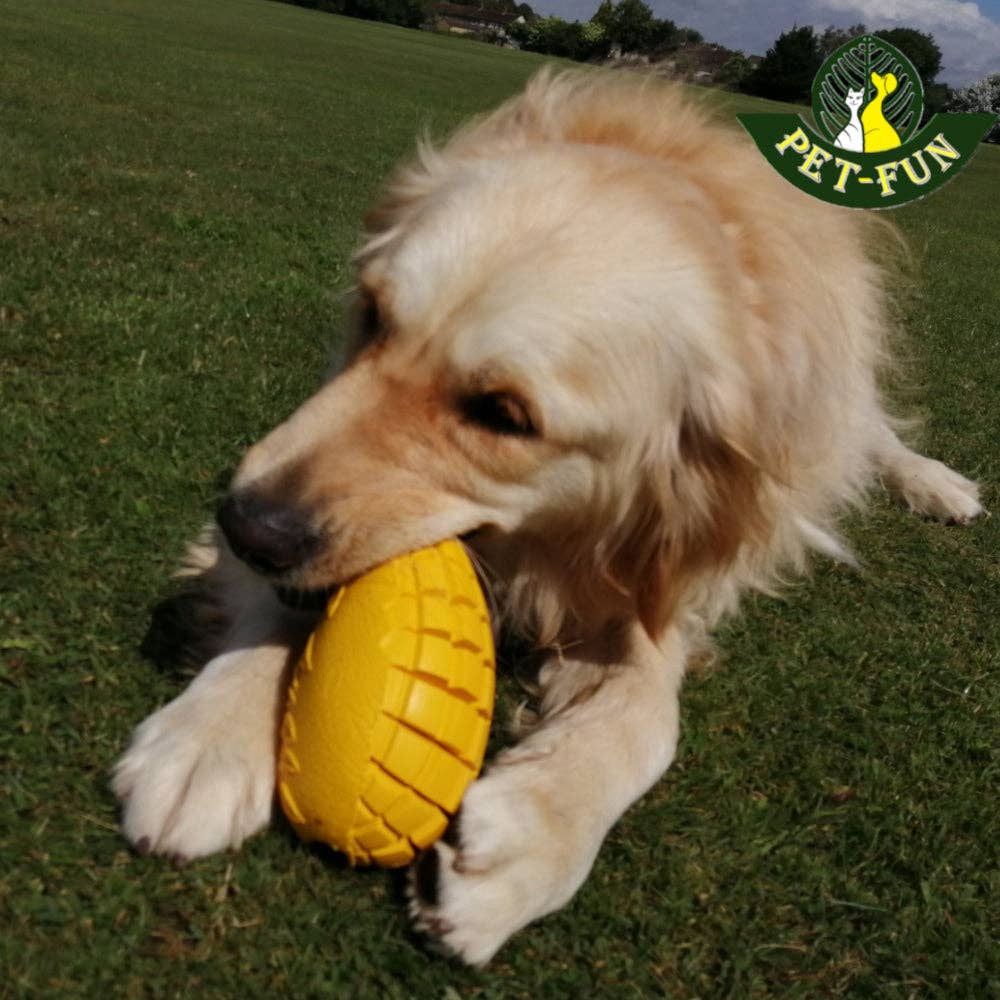 Mango Boredom Slow Feeder Dog Chew Toy (