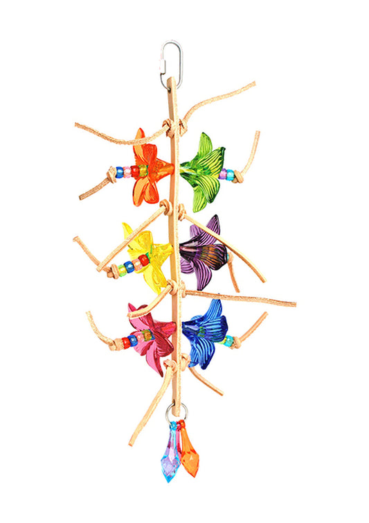 Scooter Z's Tropical Orchid