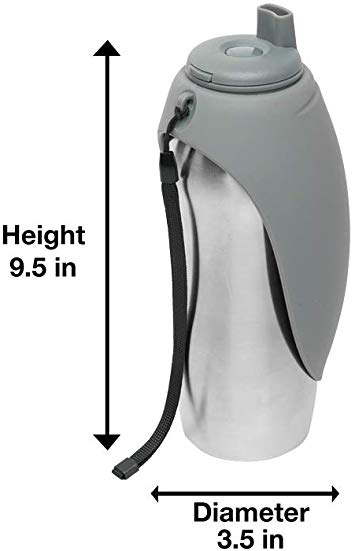 Messy Mutts Stainless Water Bottles