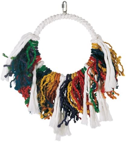 Living World Jumbo Dream Catcher