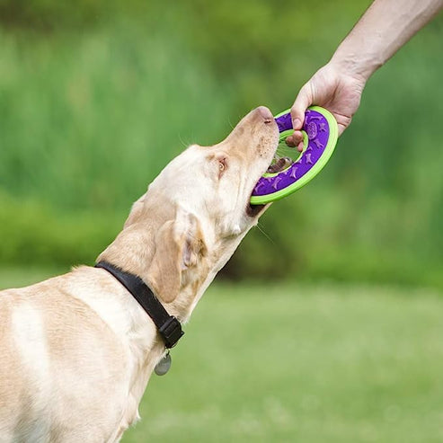 HERO Outer Armor Large Blue Fetch Ring for Medium-Large Dogs, Floats & Squeaks