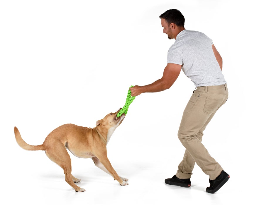 RompiDogz Tug N' Toss Rope