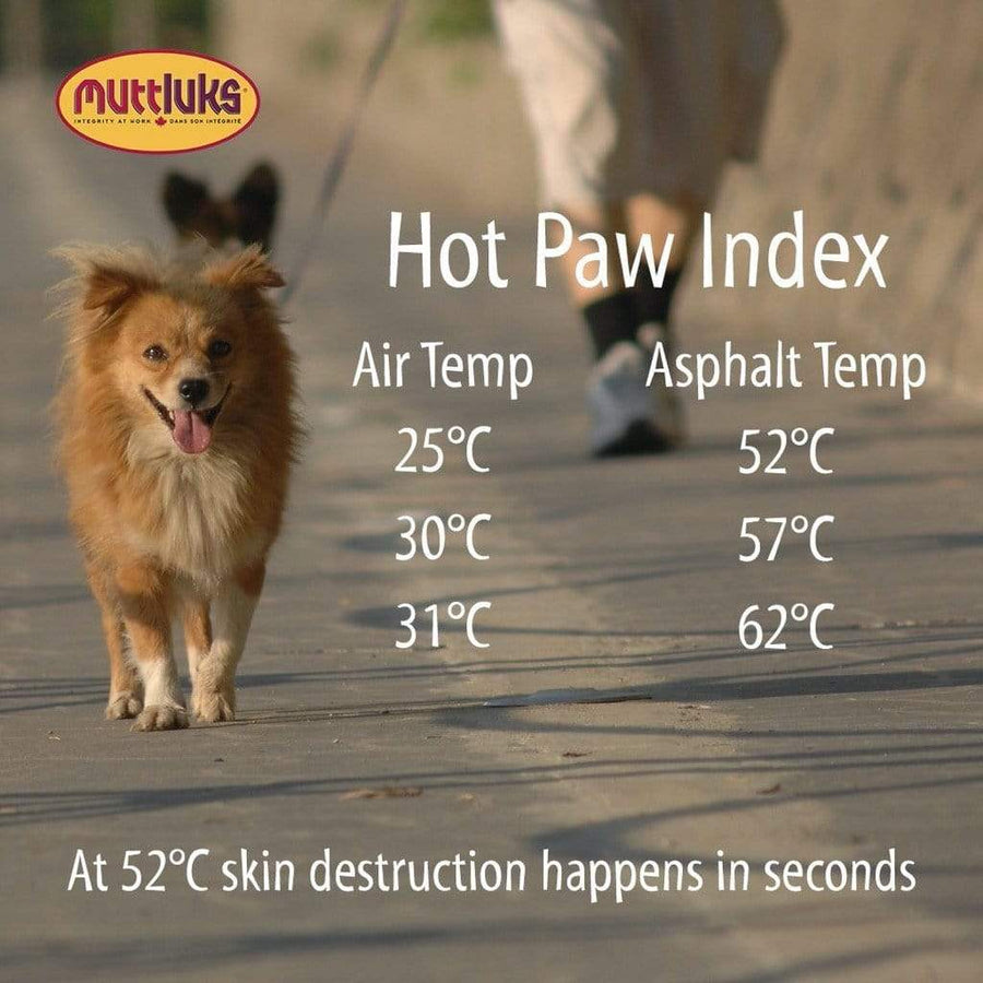 Muttlucks Mutt Trackers