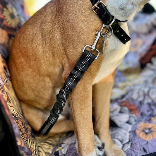 Reflective Shock Absorbing Safety Dog Seat Belt | Raiana's Vibes™