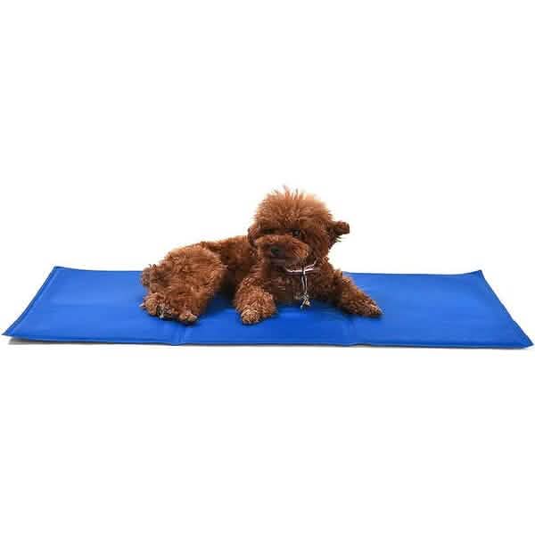Pet Cooling Mat Pet Supplies XL - DailySale